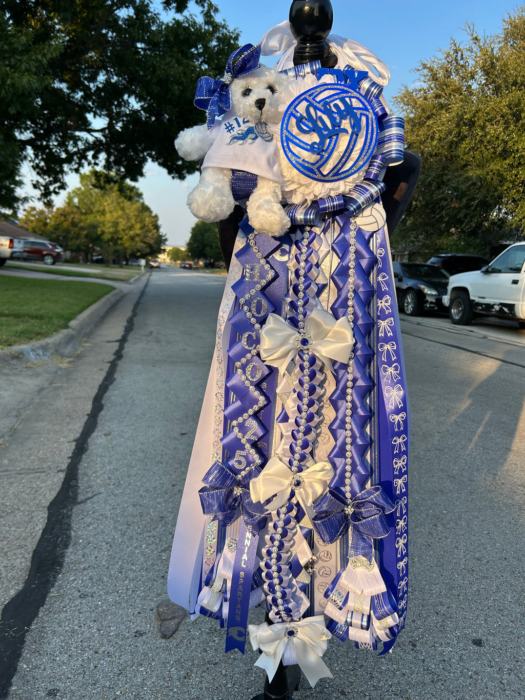 Homecoming Mum, Freshman