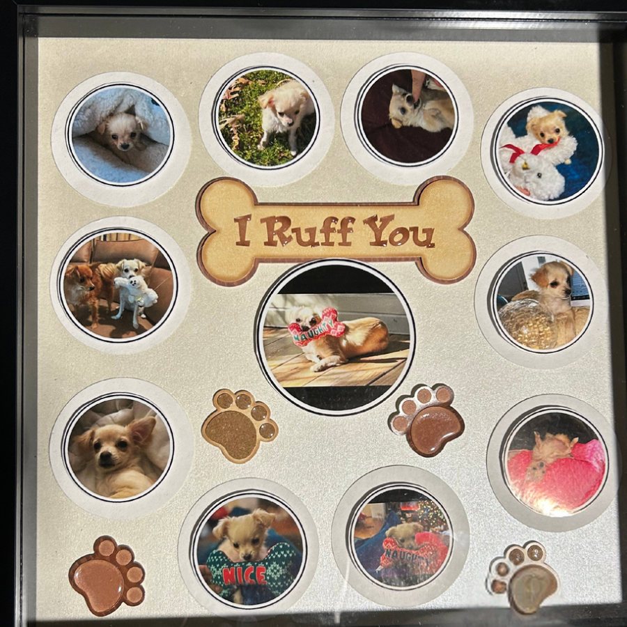 Shadow Boxes with up to 12 photos